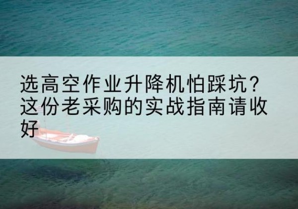 阳谷高空作业升降机厂家推荐-选高空作业升降机怕踩坑？这份老采购的实战指南请收好