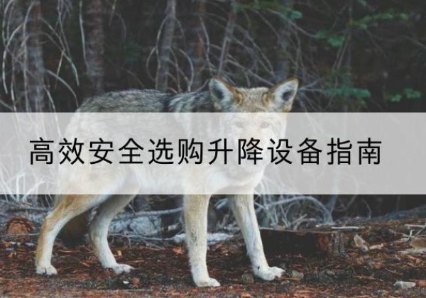 阳谷升降货梯厂家推荐-*安全选购升降设备指南