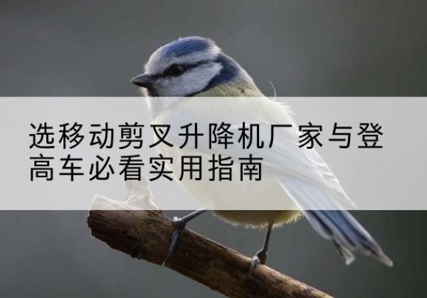 阳谷电动升降机厂家-选移动剪叉升降机厂家与登高车必看实用指南