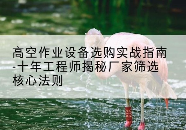 阳谷剪叉式升降机厂家-高空作业设备选购实战指南-十年工程师揭秘厂家筛选核心法则